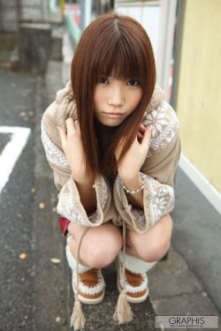 忍冬艳蔷薇